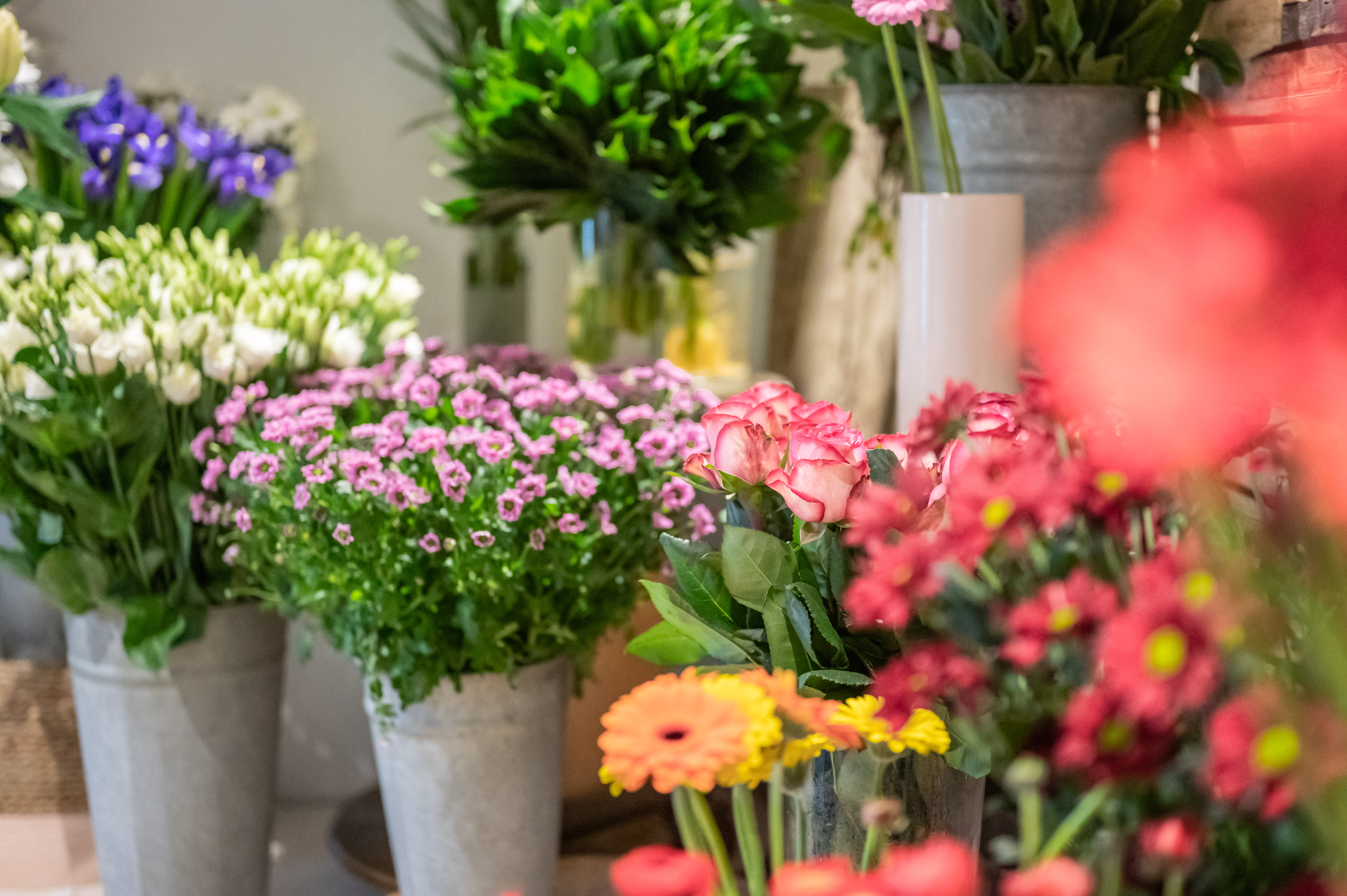 FLEURS COUPEES