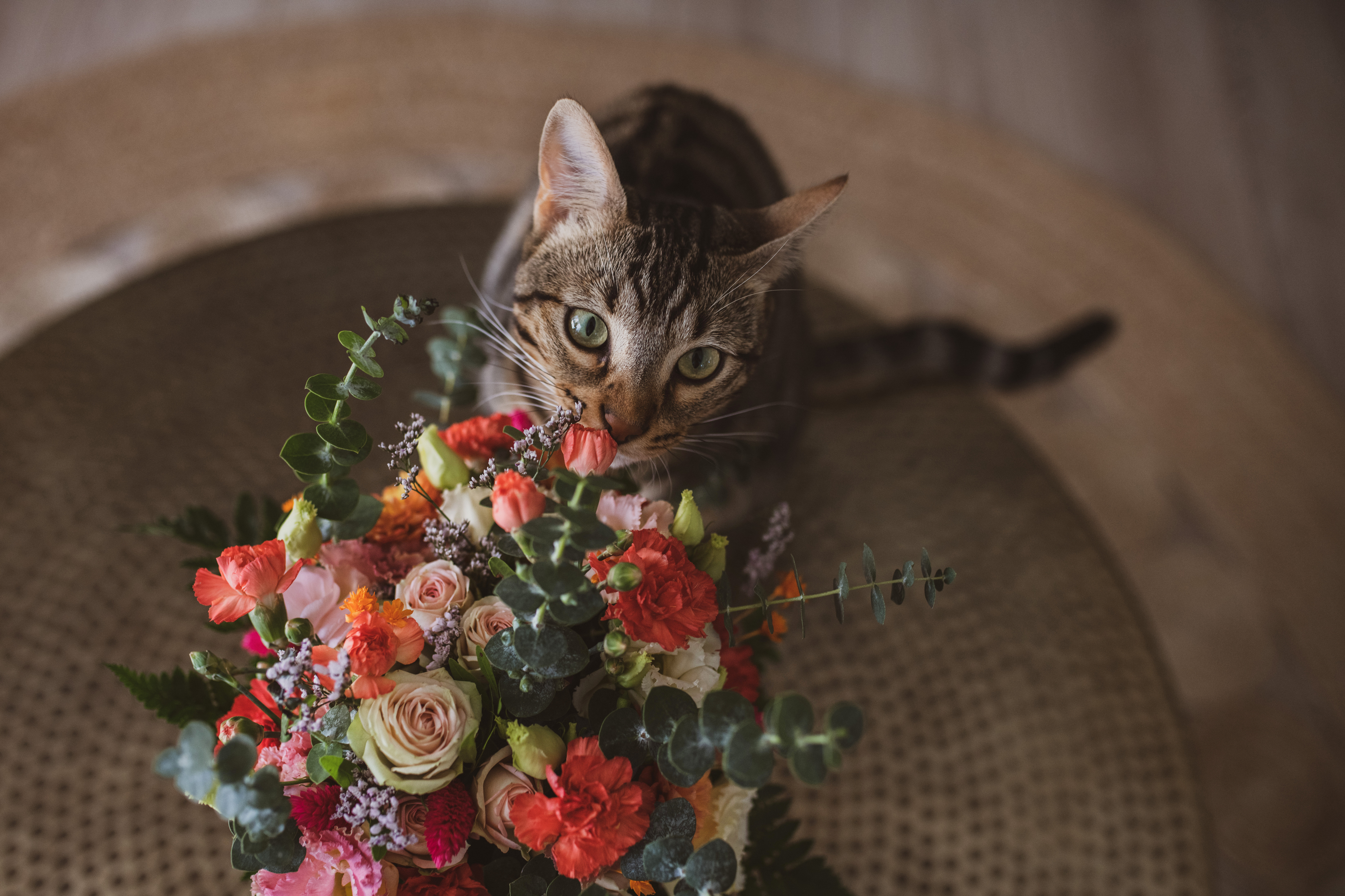MARIAGE COLORE LOGIS DE REPUTE L ENTRE POT FLEURISTE