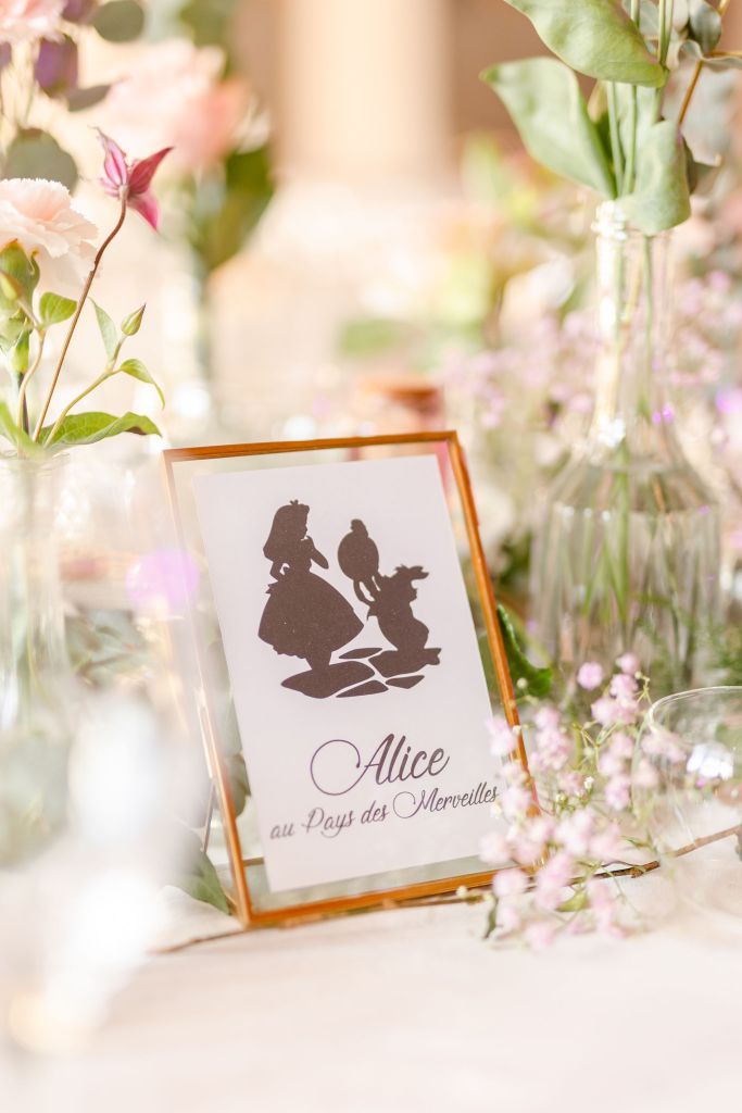 Mariage Disney - Princesse - photographe carnet pastel 