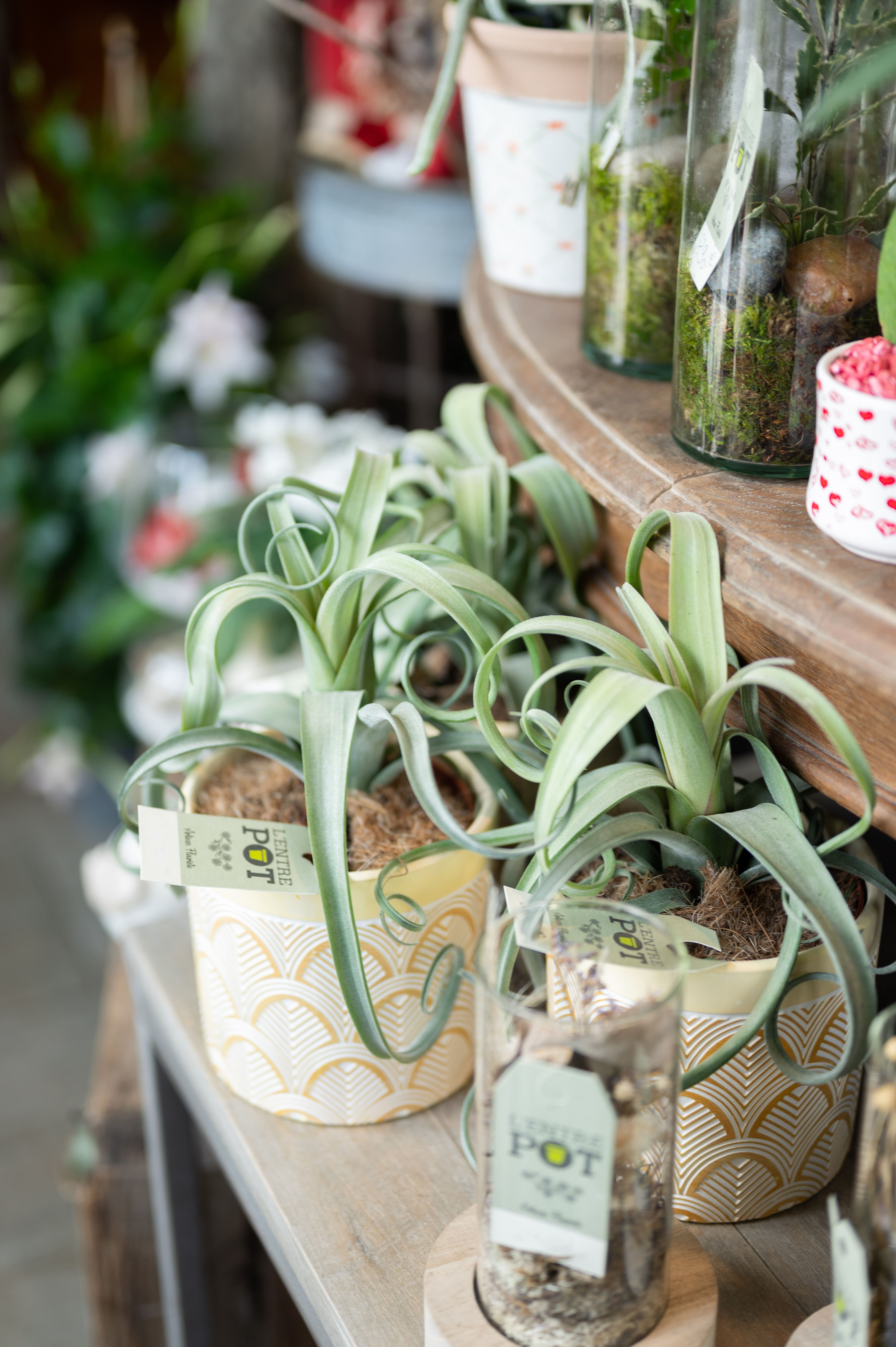 lentrepot-artisan-fleuriste-14